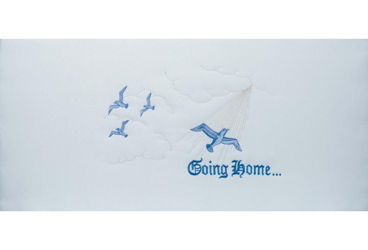 Going Home Blue