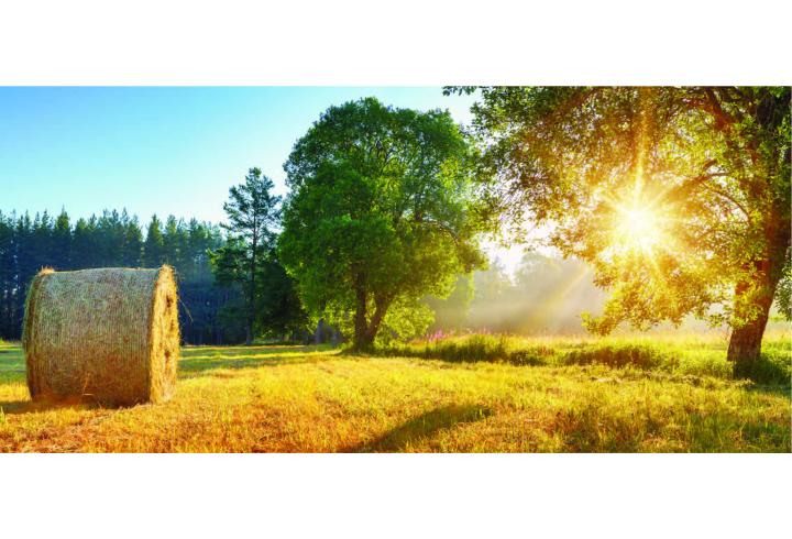 Haybale at sunset
